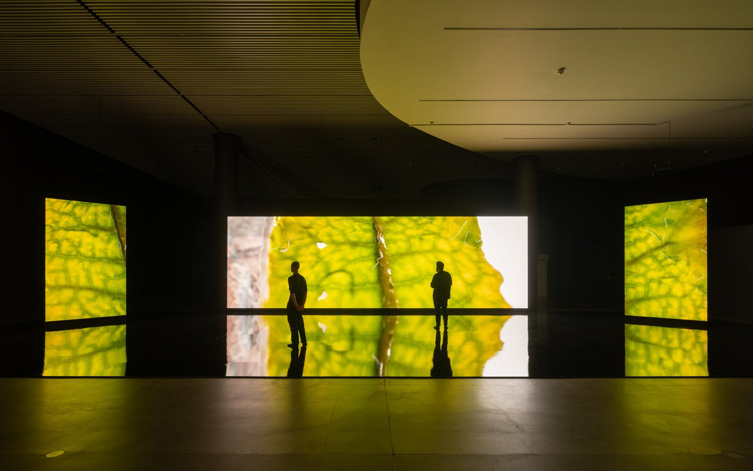 LAS Art Foundation and the New Aesthetic of Intelligence